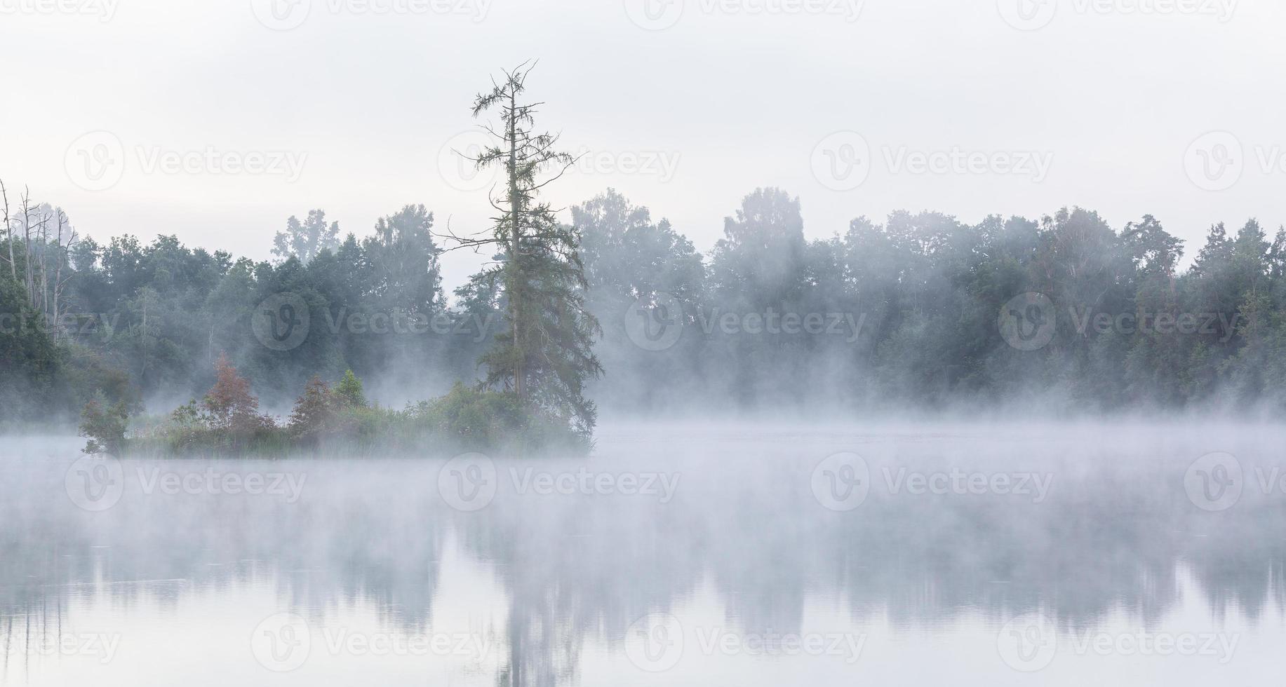 paysages lacustres de lettonie en été photo