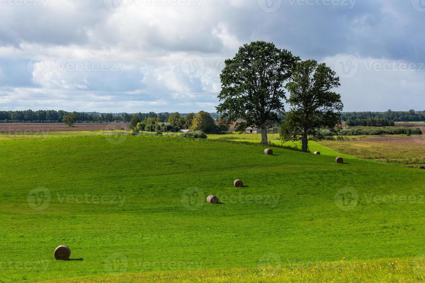 paysages d'été lettons avec des nuages photo