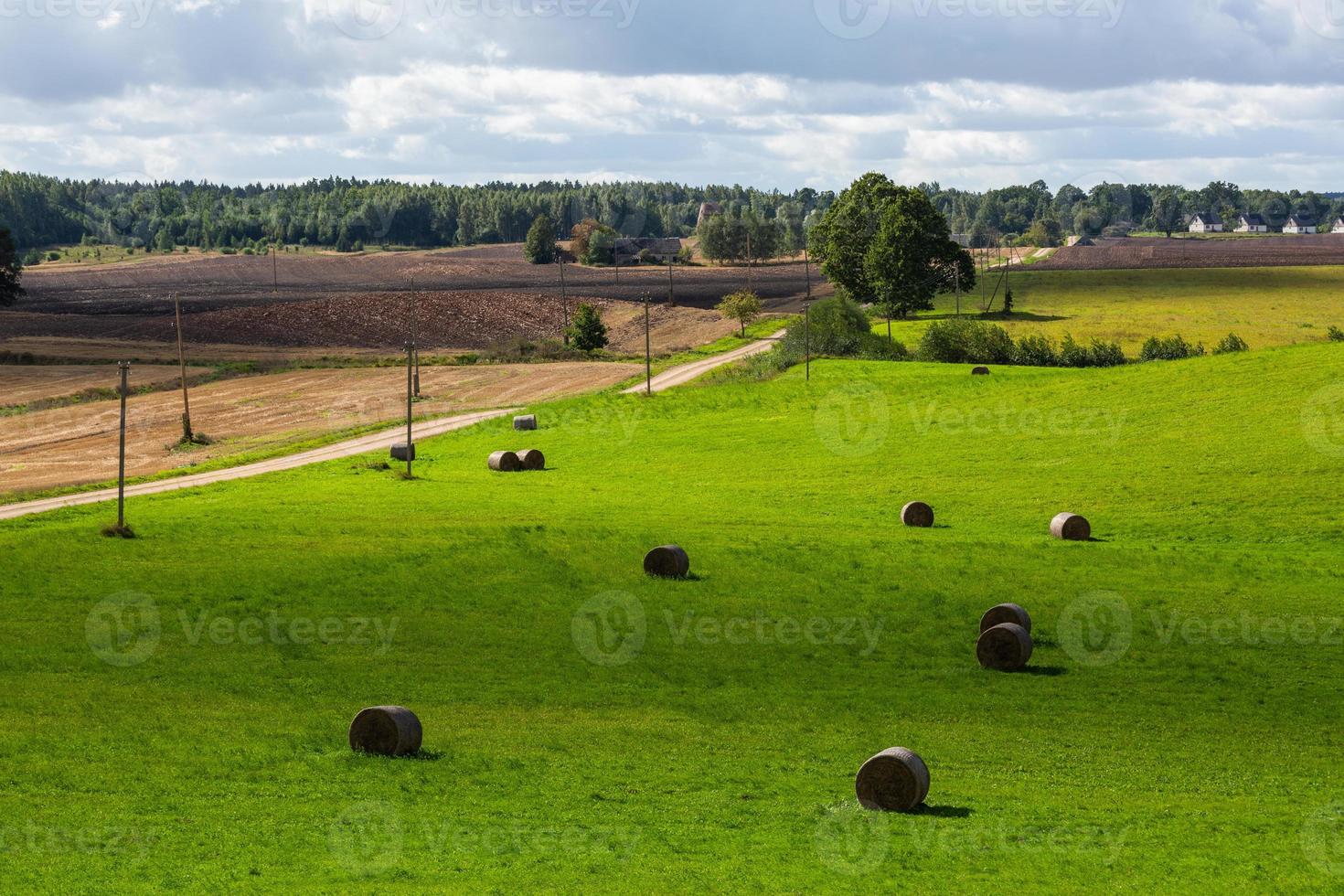 paysages d'été lettons avec des nuages photo