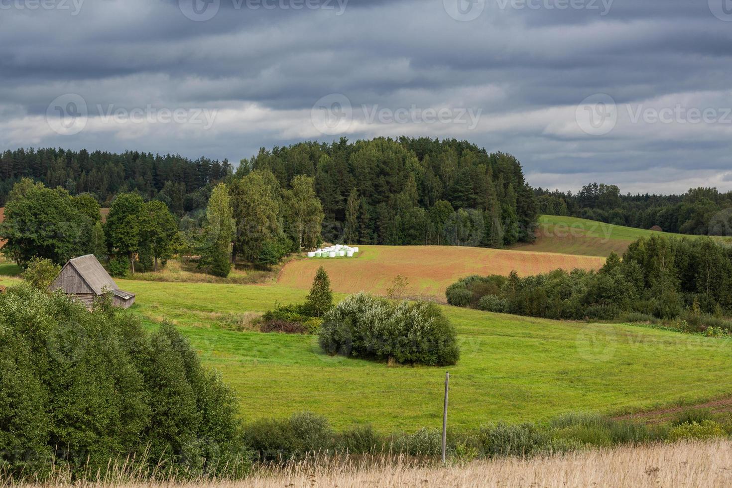 paysages d'été lettons photo