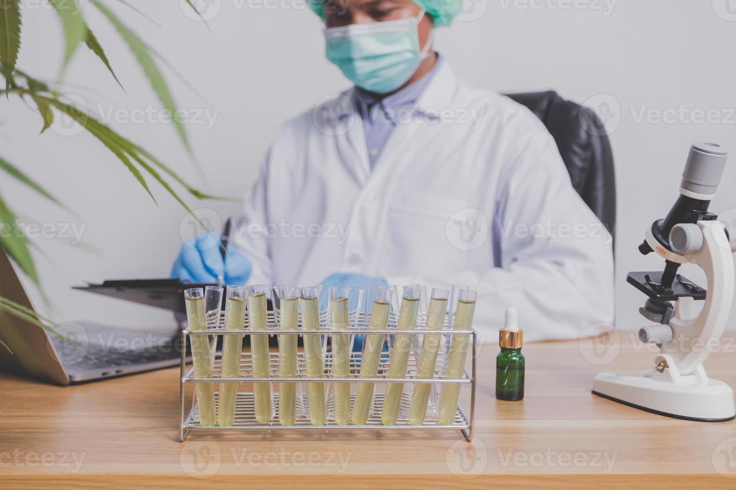 les chercheurs sur le cannabis font des expériences scientifiques. photo