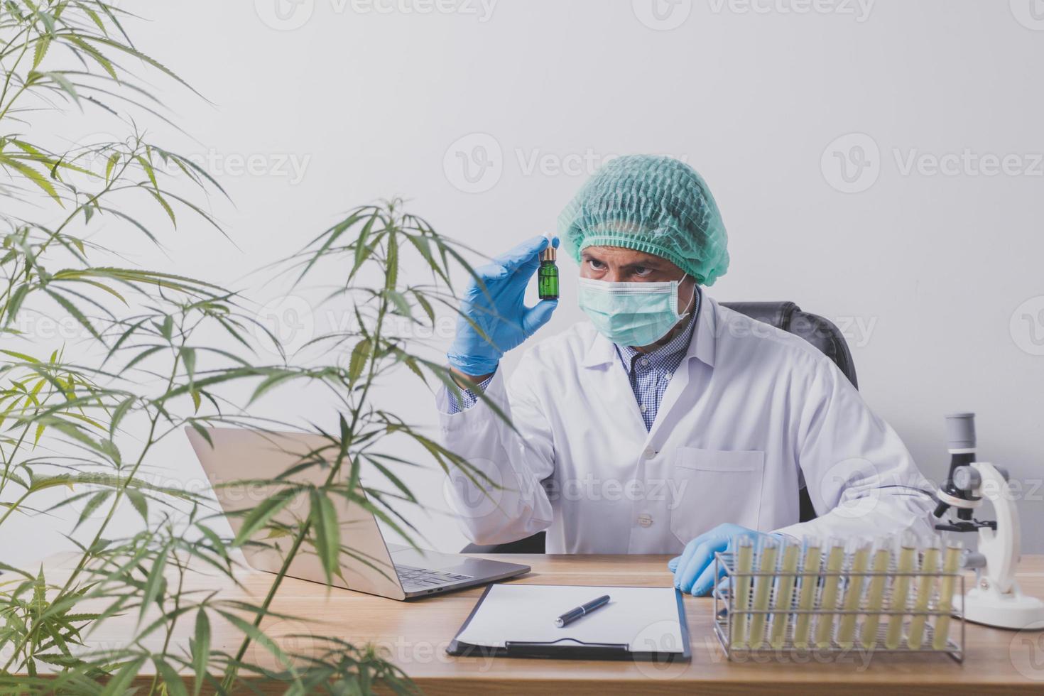 les chercheurs sur le cannabis font des expériences scientifiques. photo