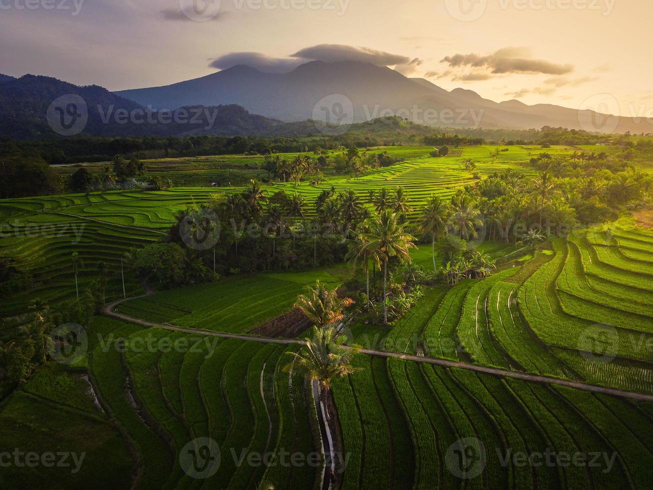 vue aérienne de l'asie dans les rizières indonésiennes avec des montagnes au lever du soleil photo