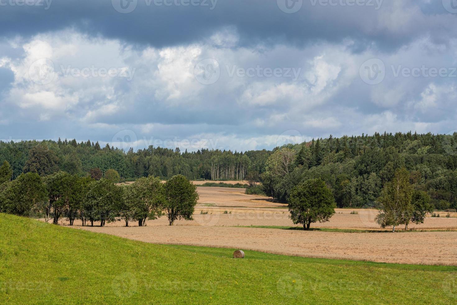 paysages d'été lettons avec des nuages photo