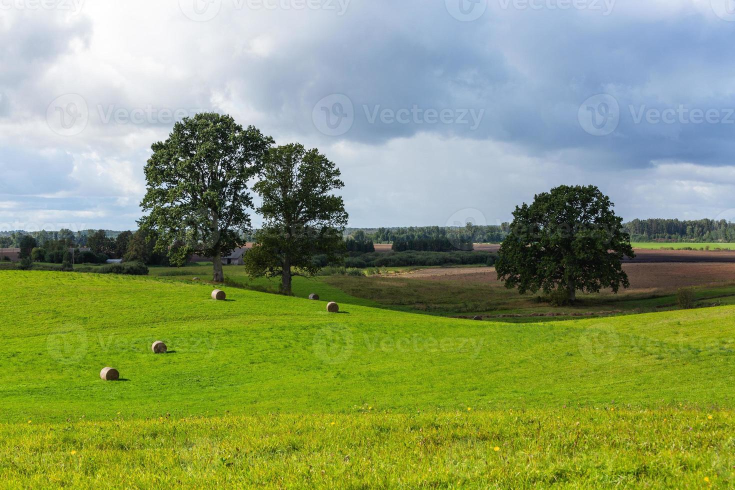 paysages d'été lettons avec des nuages photo