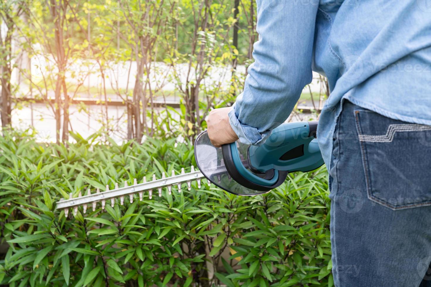 jardinier tenant un taille-haie électrique pour couper la cime des arbres dans le jardin. photo