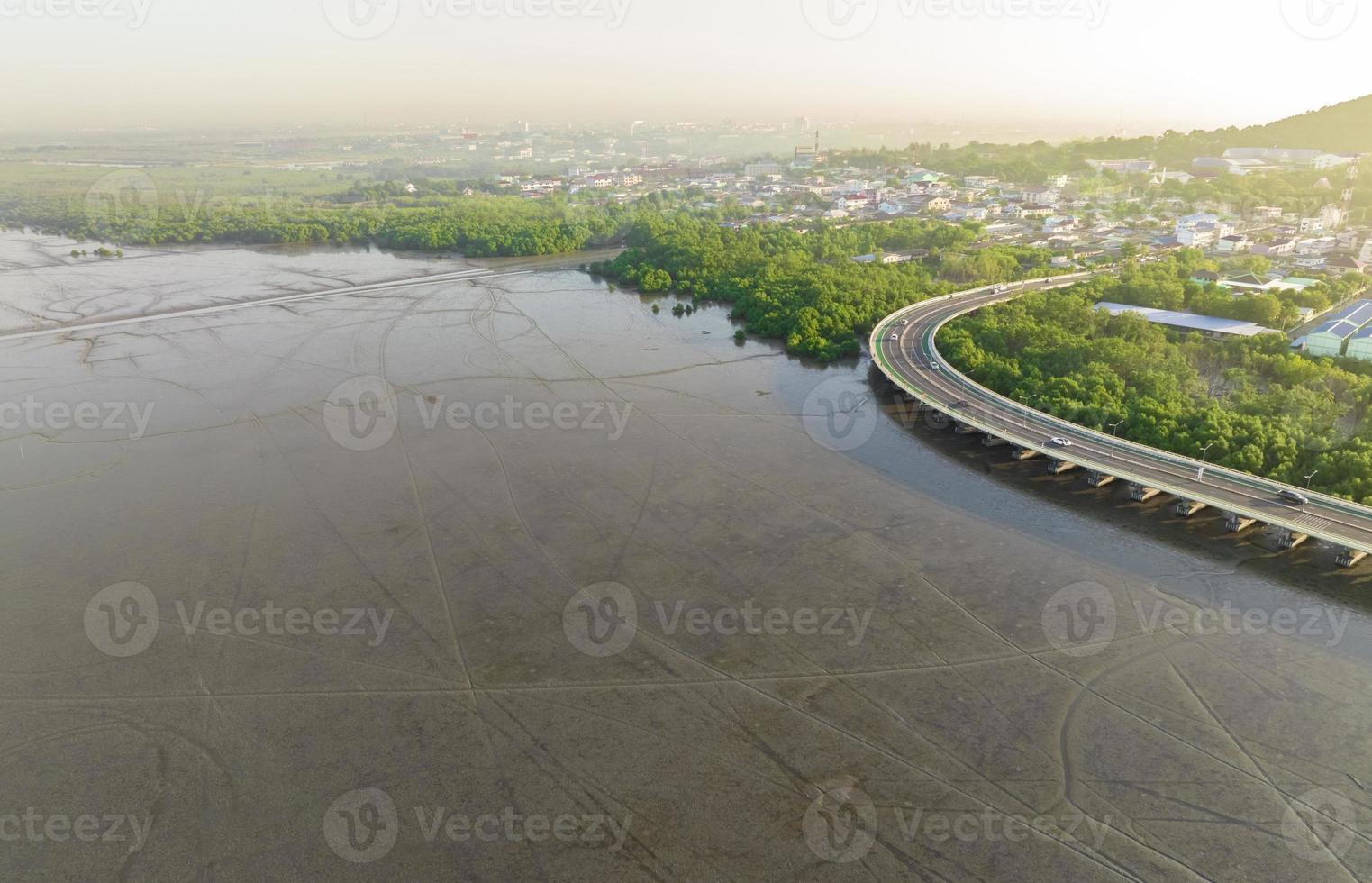 vue aérienne de la vasière, de la forêt de mangrove et de la ville durable et de la forêt de mangrove verte. les mangroves captent le co2 de l'atmosphère. écosystèmes de carbone bleu. les mangroves absorbent les émissions de dioxyde de carbone. photo