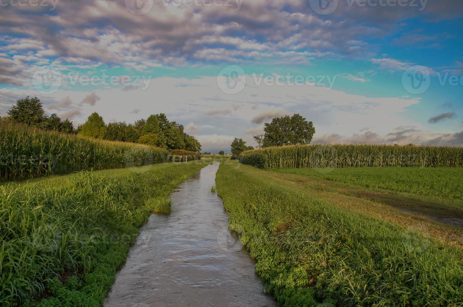 vue d'une rivière photo