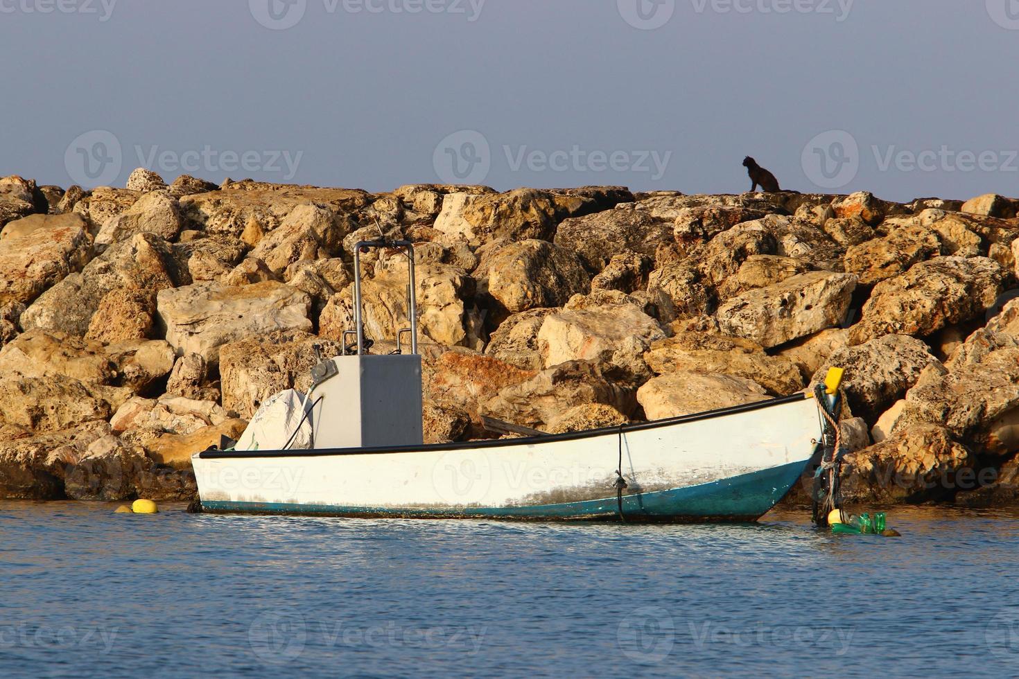 le brise-lames protège la plage au bord de la mer des grosses vagues. photo