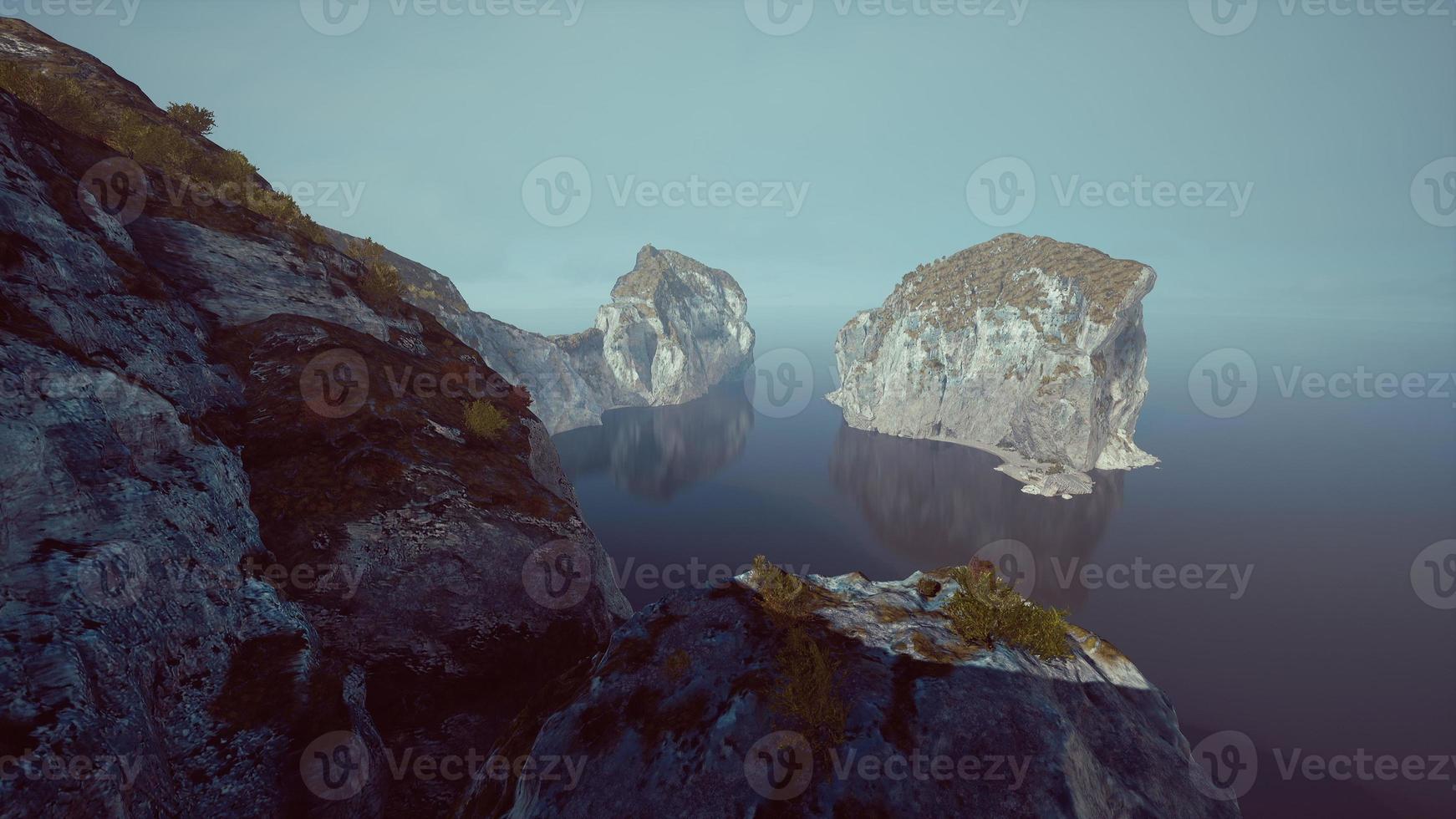 falaises blanches avec de l'herbe au-dessus de l'océan photo