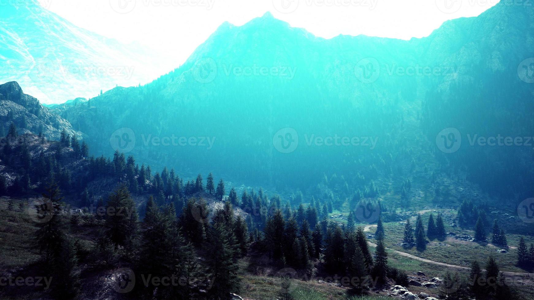 route de montagne sinueuse au-dessus des prairies alpines à la lisière de la forêt photo