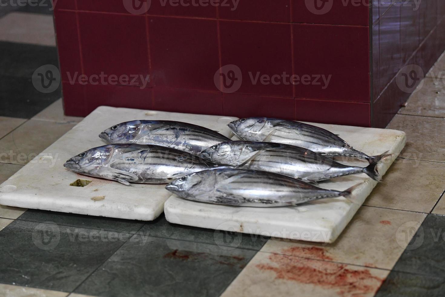 homme, maldives - 4 mars 2017 - personnes achetant au marché aux poissons photo