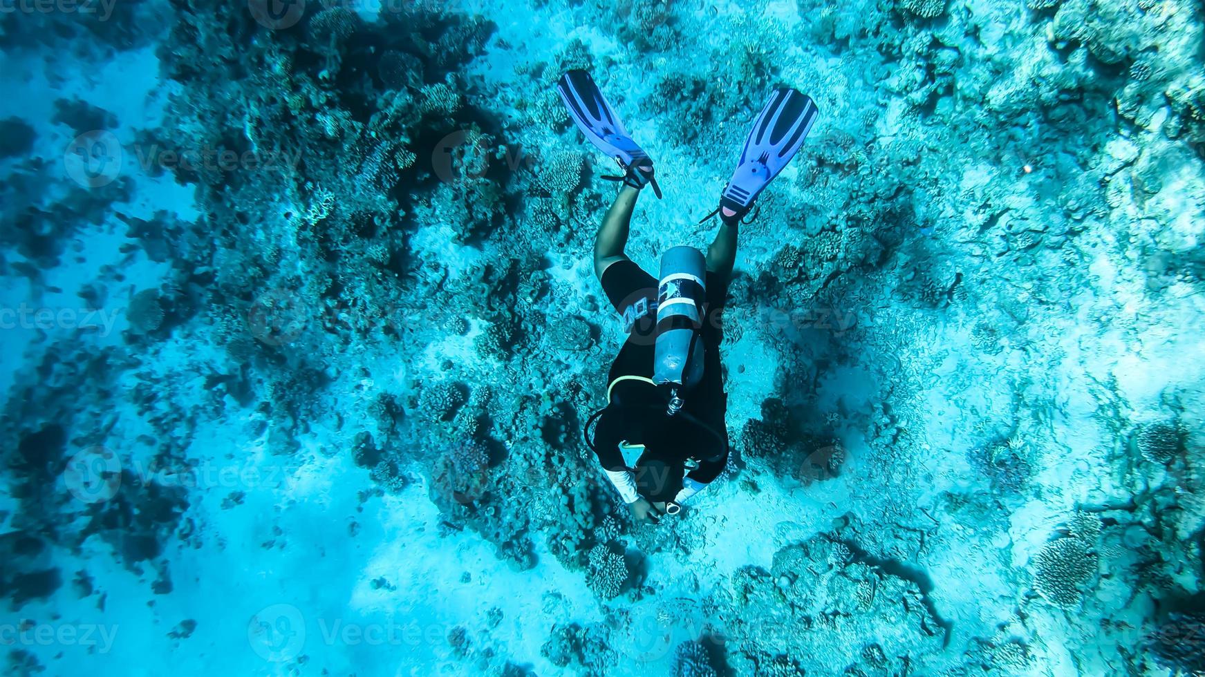 un homme plongeant dans une combinaison sous l'eau, nageant le long du fond et du récif corallien dans la mer rouge. photo