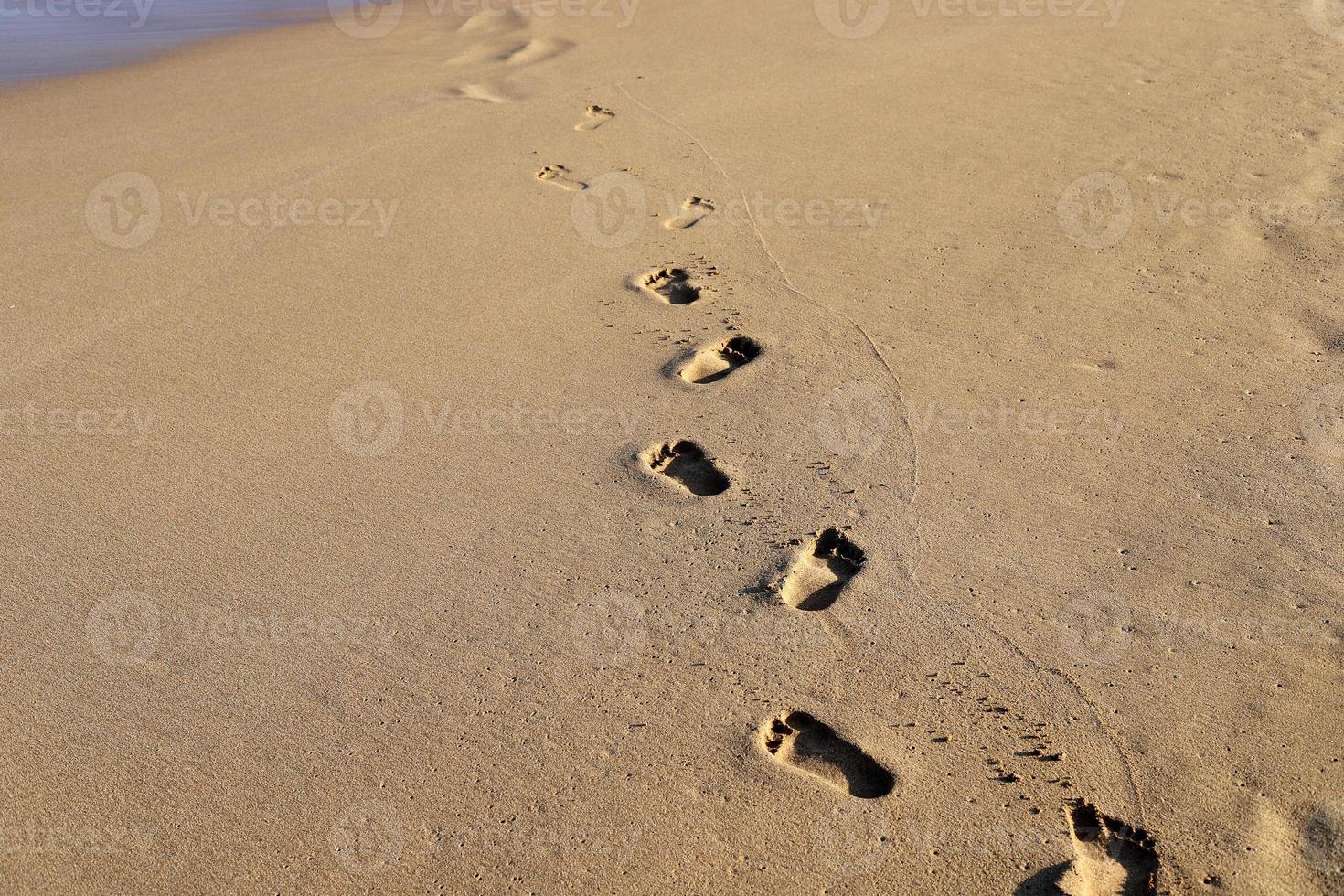 empreintes de pas dans le sable au bord de la mer photo