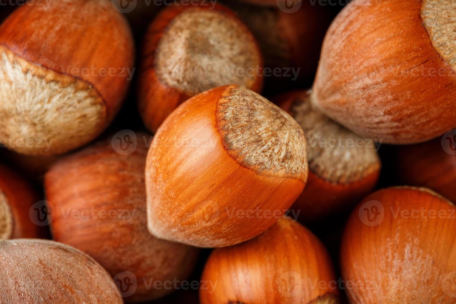 Graines de noisettes séchées non décortiquées de noix entières comme arrière-plan photo