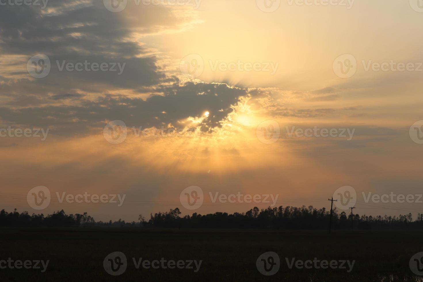 la beauté de la nature au bangladesh photo