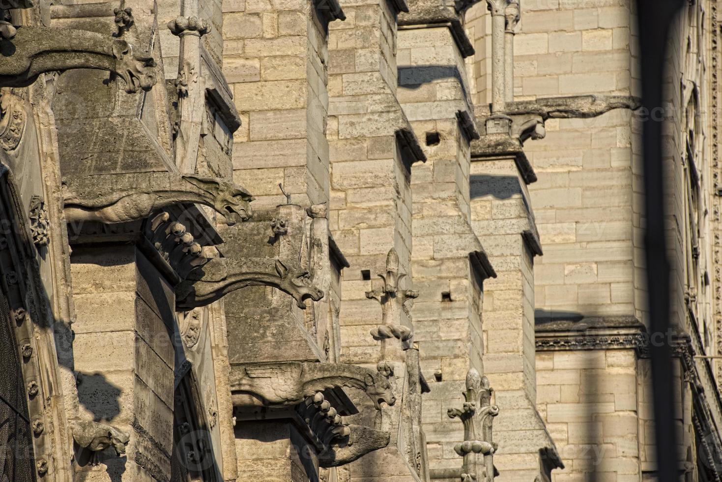 notre dame paris statues et gargouilles photo