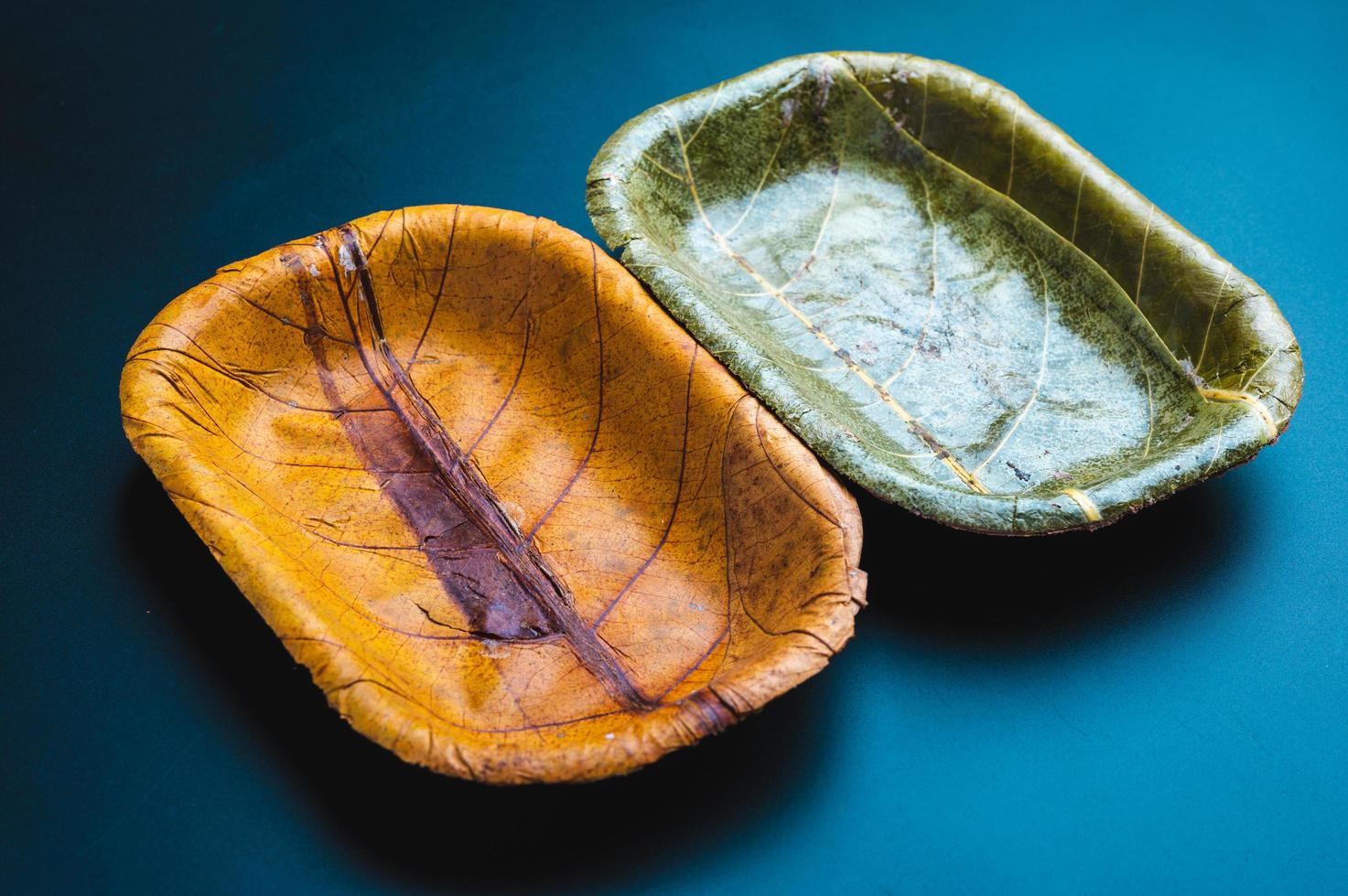 assiettes à feuilles écologiques photo