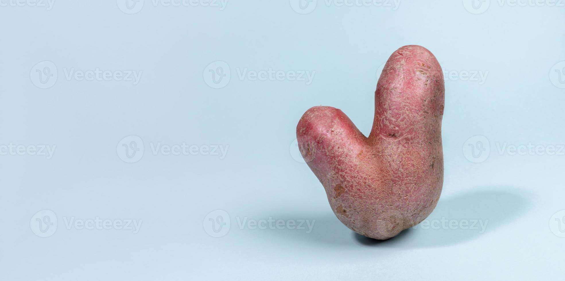 une pomme de terre crue fraîche en forme de v moche debout sur fond bleu clair avec des ombres. zéro gaspillage de nourriture. bannière web. photo