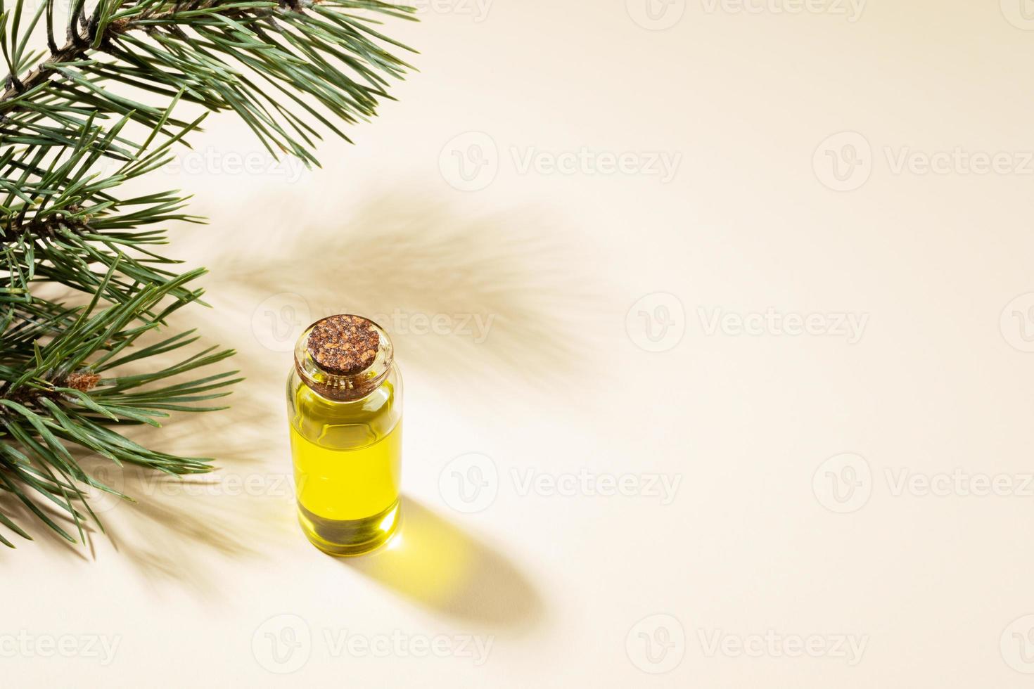 petite bouteille en verre d'huile essentielle de pin avec branche de pin et ombres sur fond beige. photo