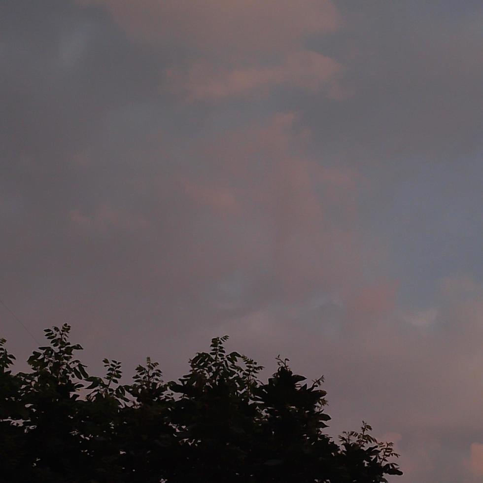 photo nature au coucher du soleil à la campagne