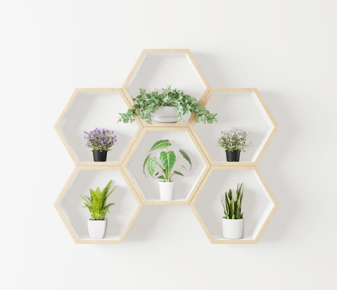 étagère en bois hexagonale avec des plantes minimales dans la maquette photo