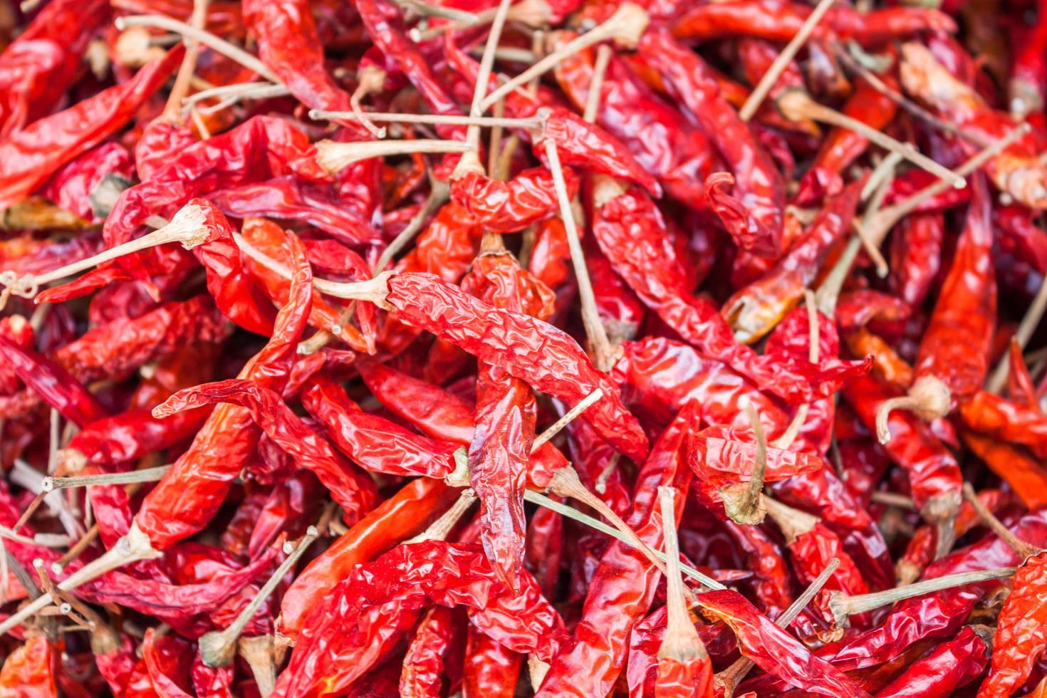 poivrons rouges séchés photo