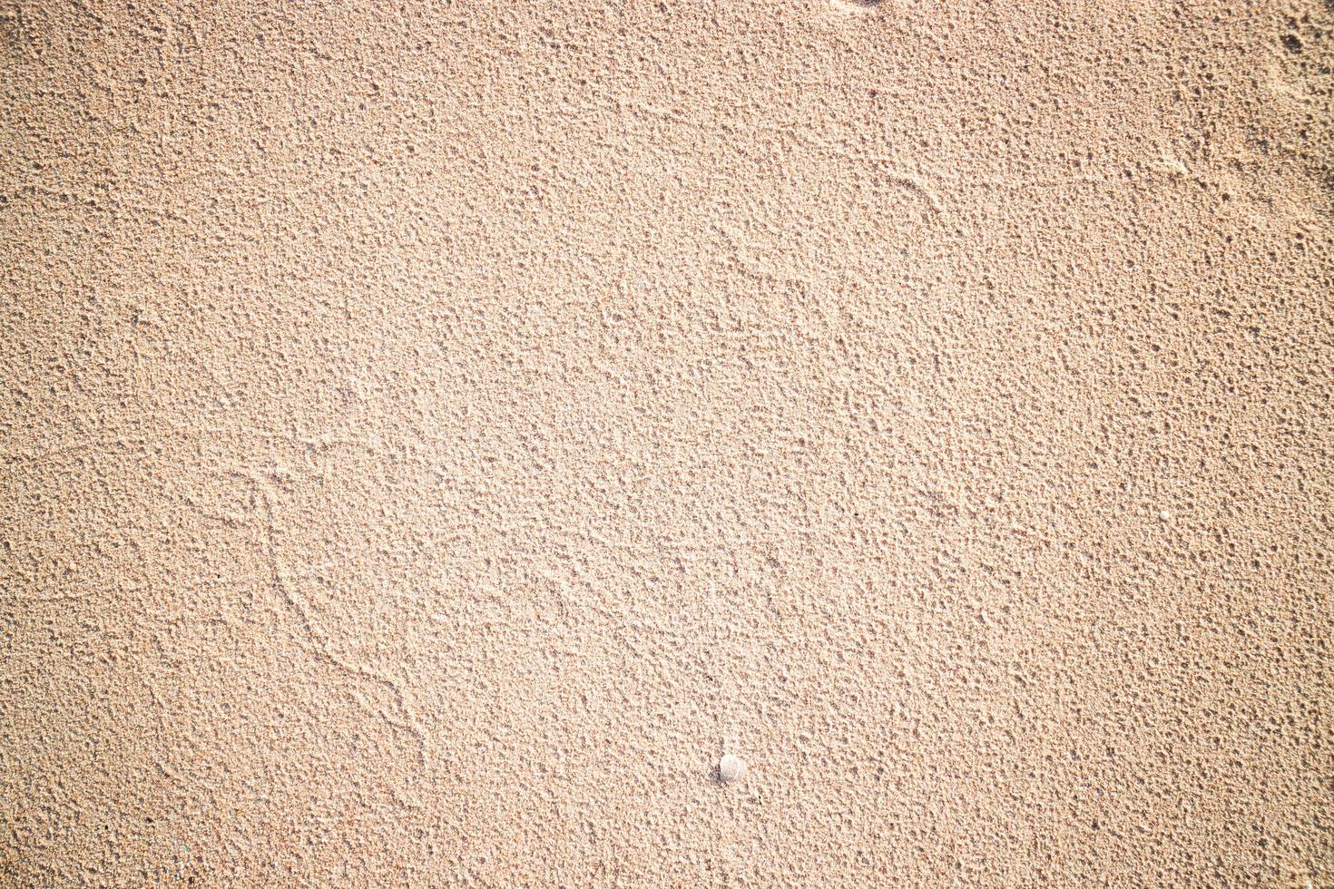 mur peint beige photo