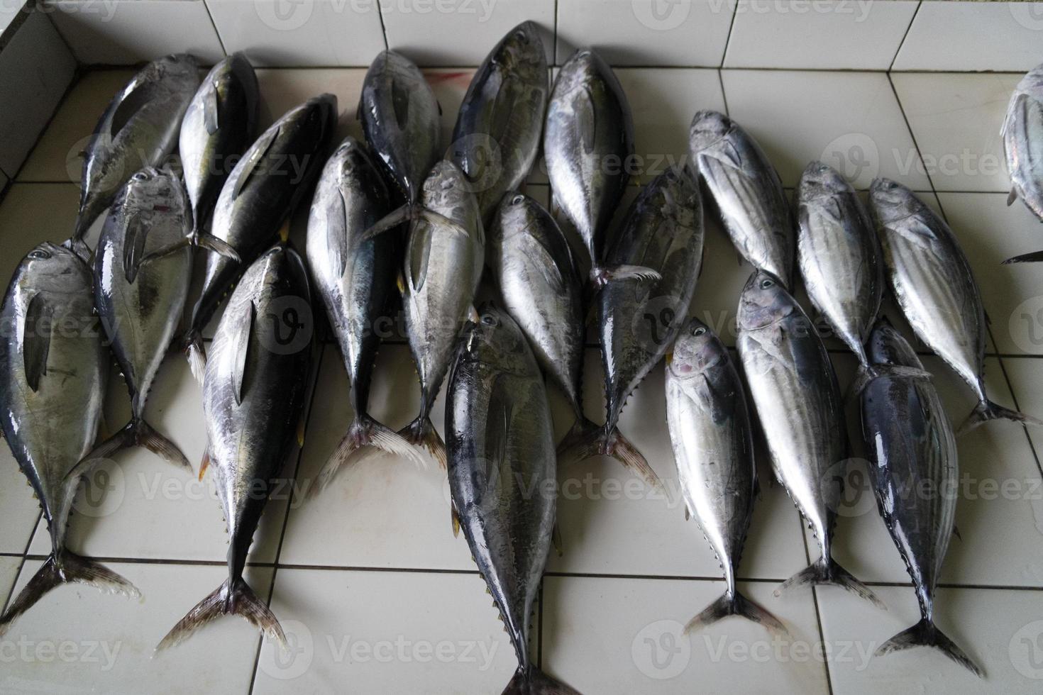 les maldives mâles achètent au marché aux poissons photo