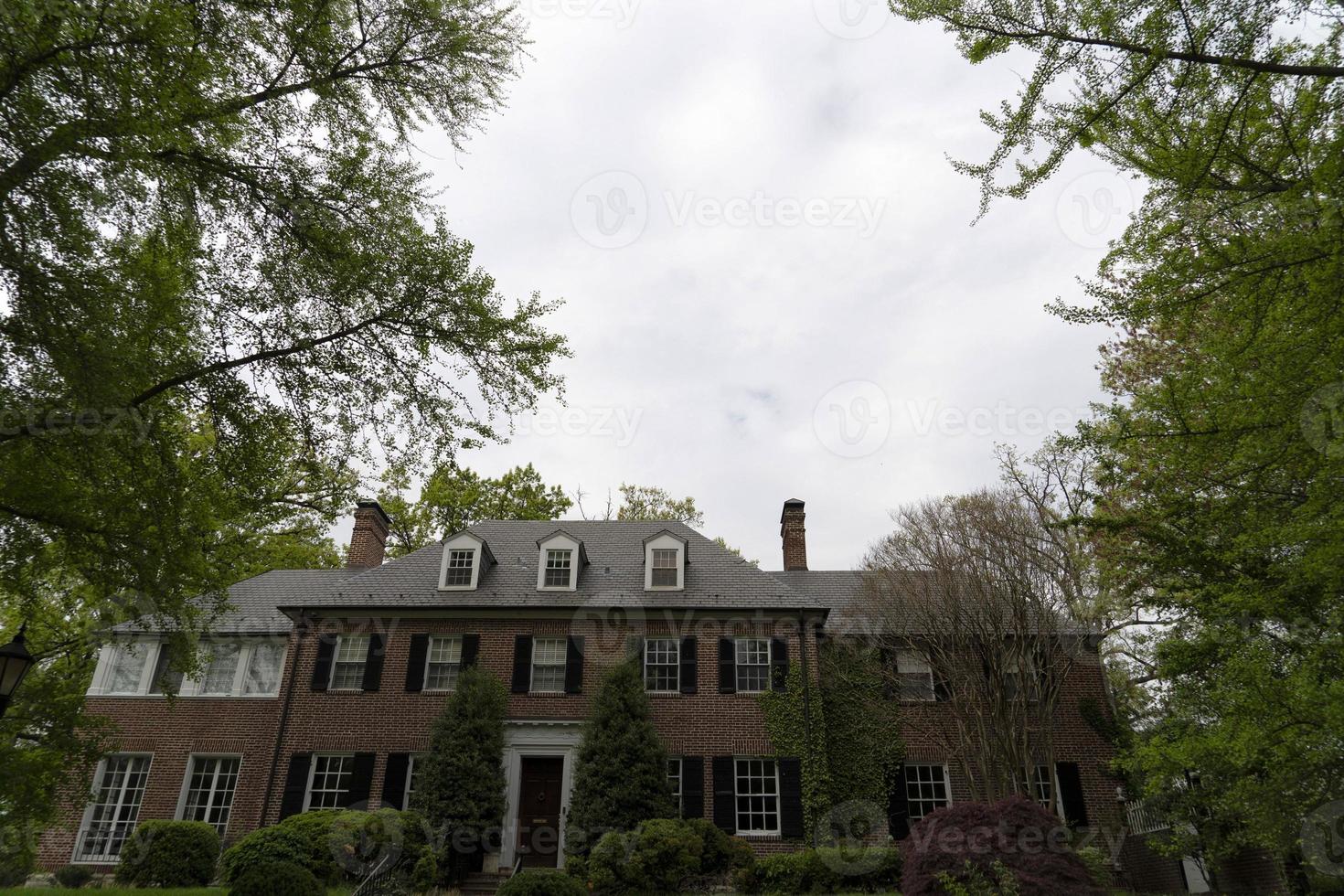 baltimore sherwood jardins vieilles maisons photo