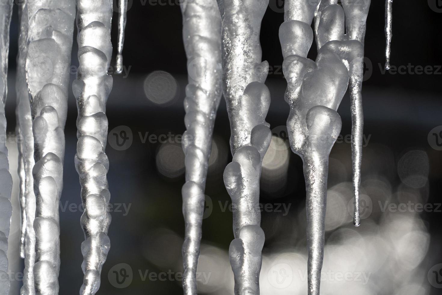 glaçons glace gelée sur les branches d'arbres photo