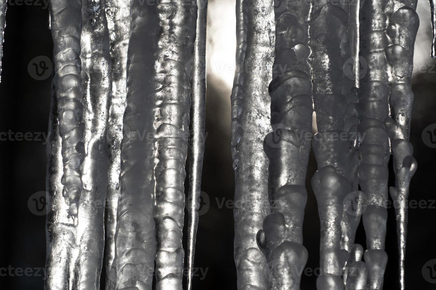 glaçons glace gelée sur les branches d'arbres photo