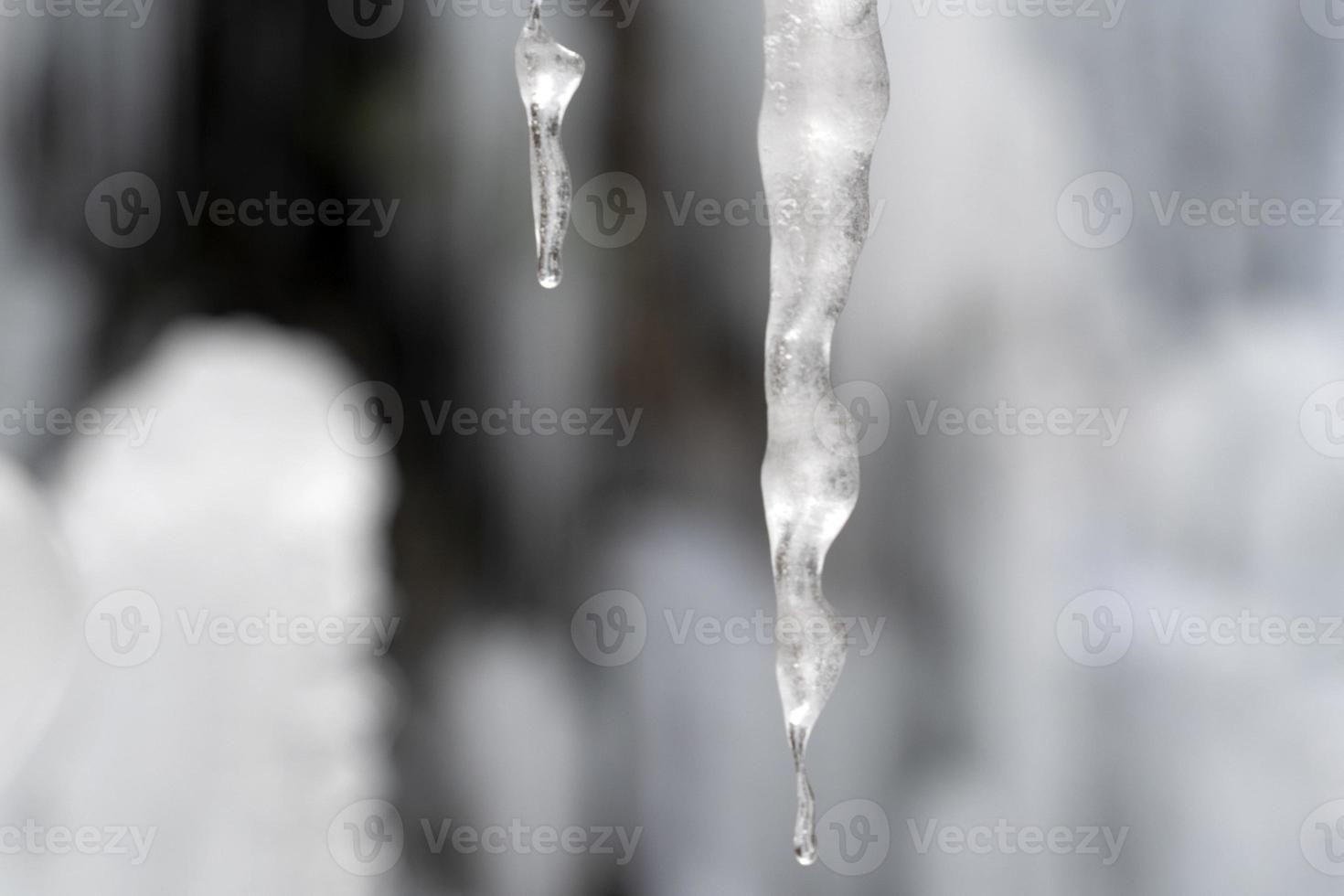 glaçons glace gelée sur les branches d'arbres photo