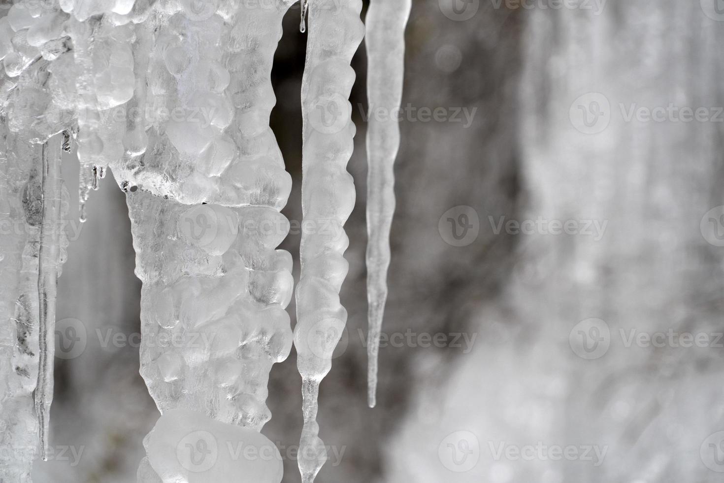 glaçons glace gelée sur les branches d'arbres photo