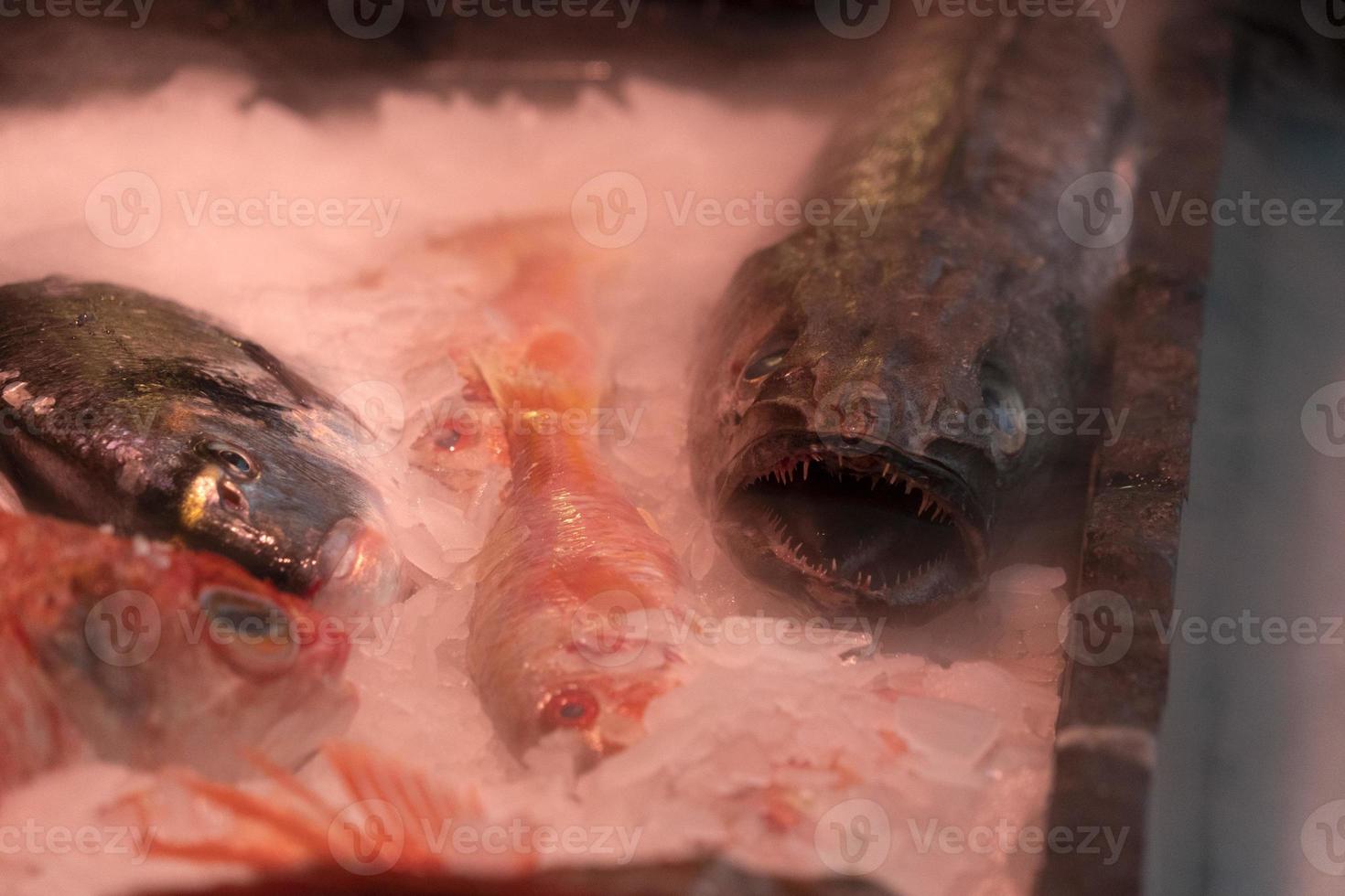 fruits de mer à vendre au marché sur glace fumante photo