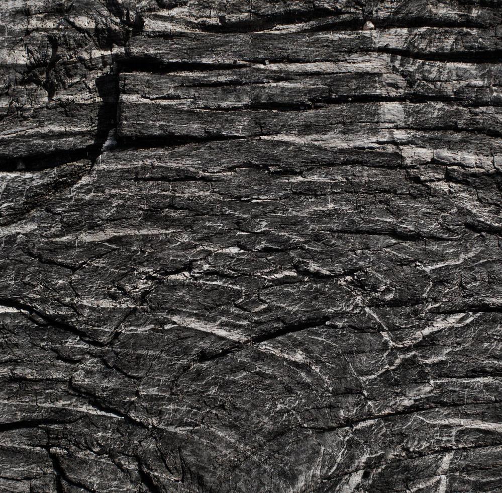 texture de grain de bois photo
