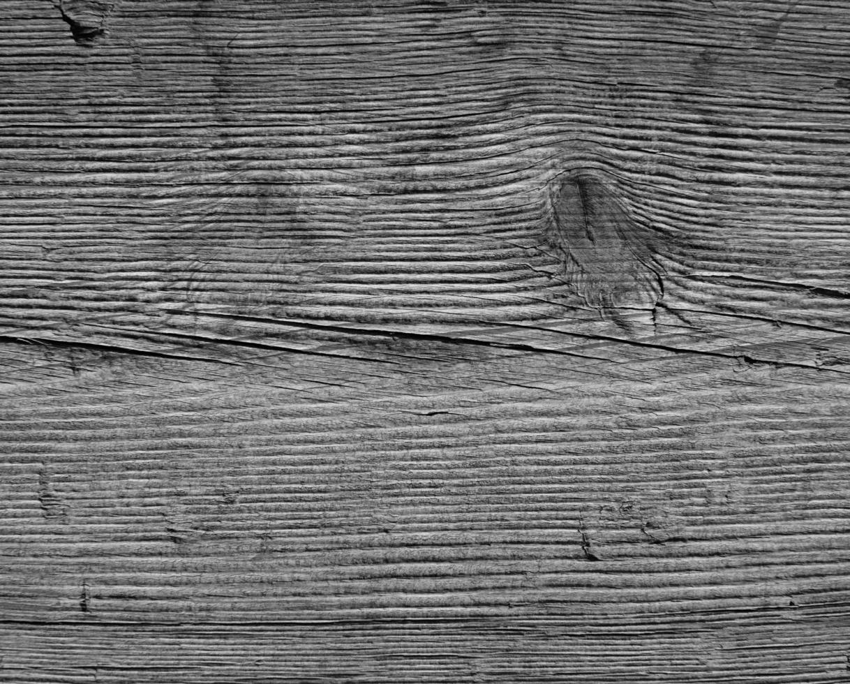 texture de grain de bois photo