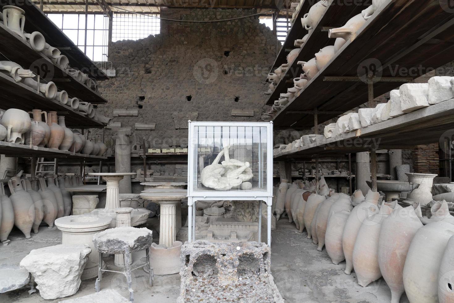 pompei ruines statue enterré chien cadavre photo