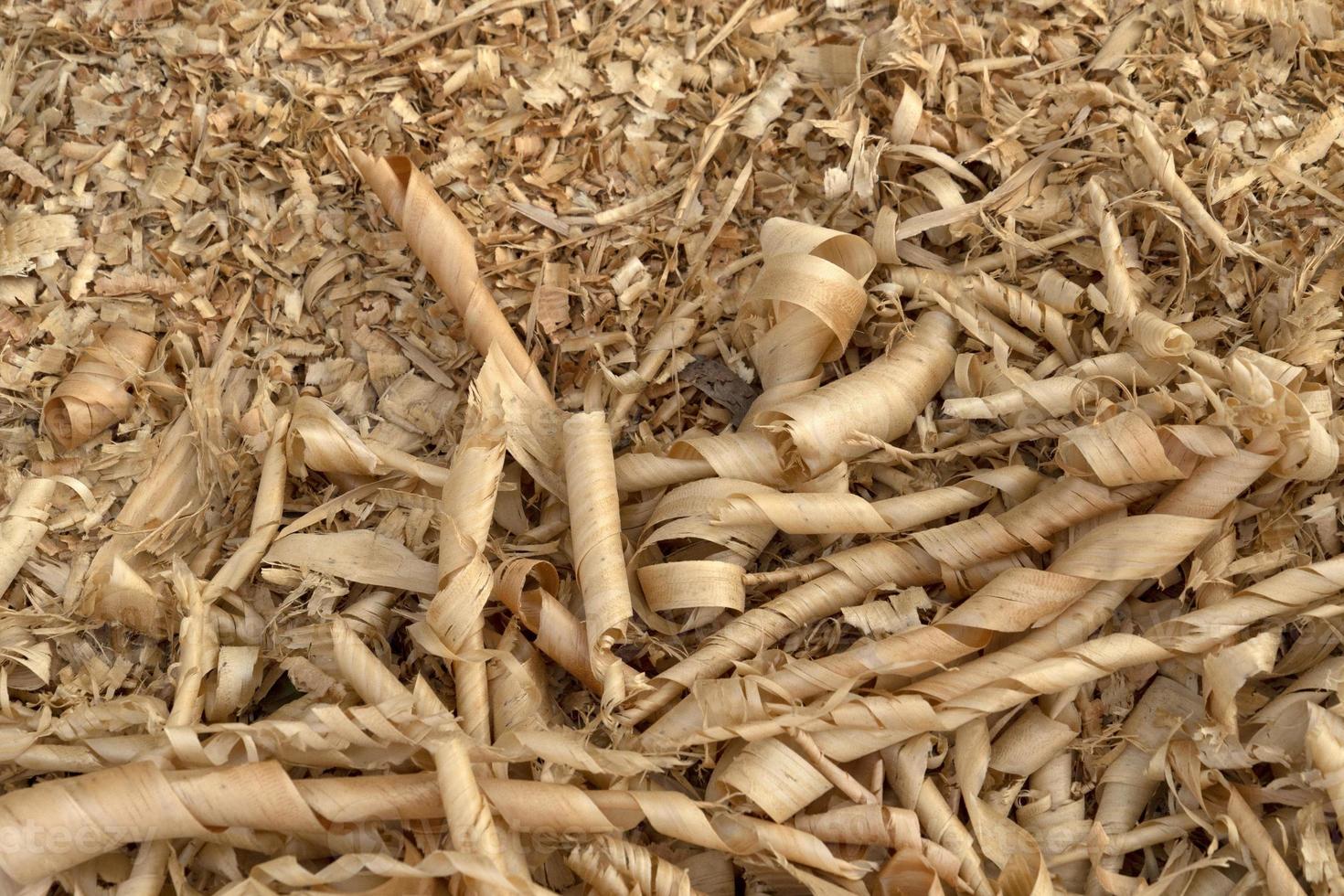 copeaux de bois dans le détail de la scierie photo