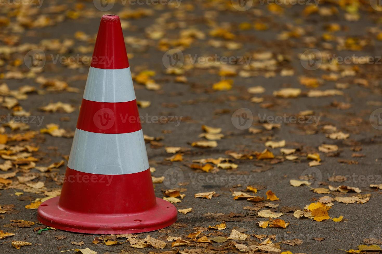 cône sur la route automne photo