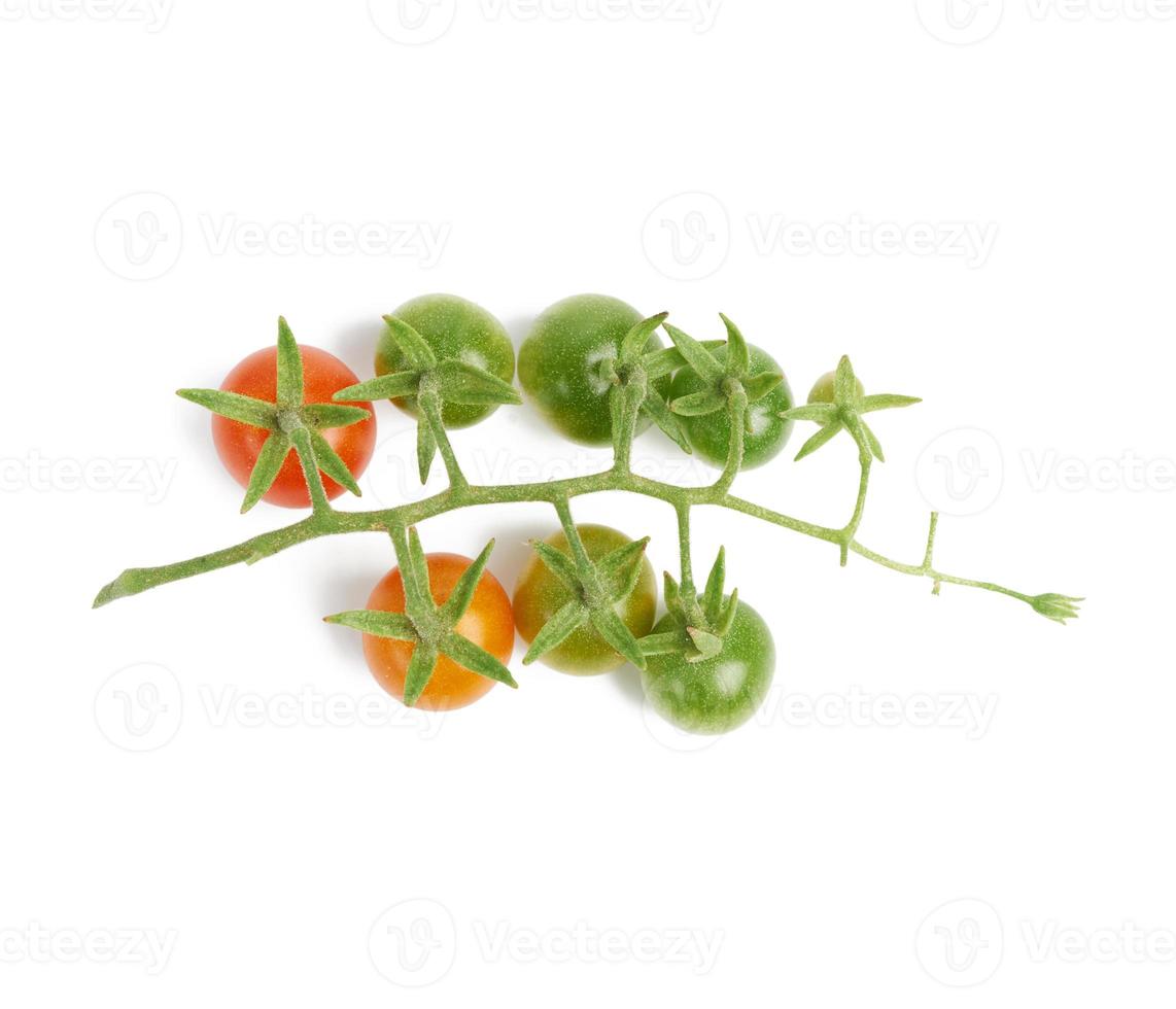branche avec des fruits verts et rouges de tomate cerise isolé sur fond blanc photo