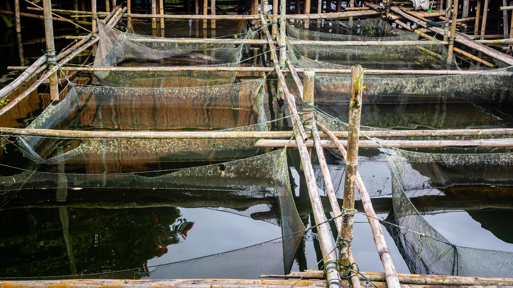 ferme piscicole traditionnelle dans le lac tondano en bambou photo