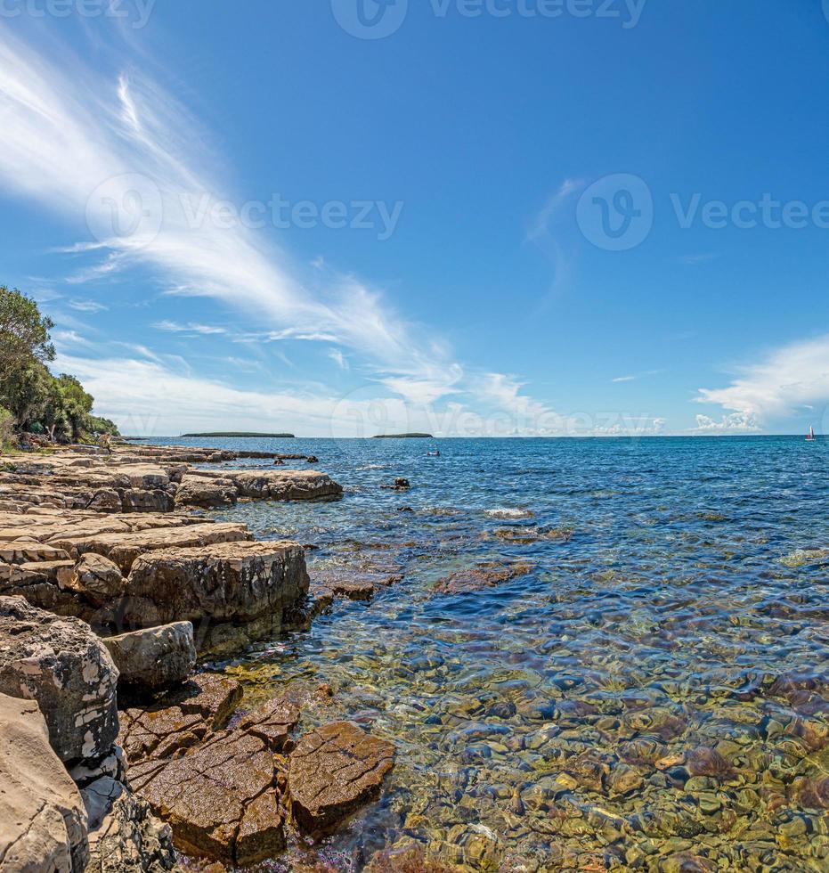 vue sur le paysage côtier typique de l'istrie en été photo