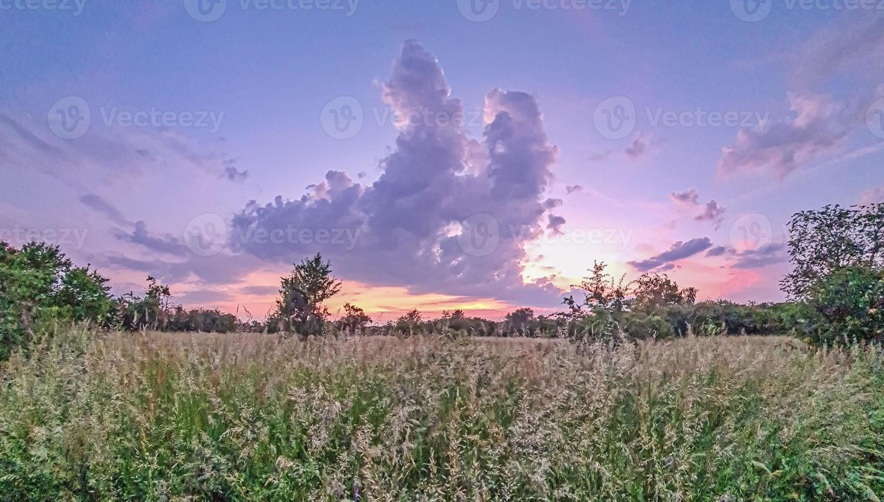 vue sur le pré au printemps pendant le coucher du soleil avec des fleurs épanouies et un ciel coloré photo