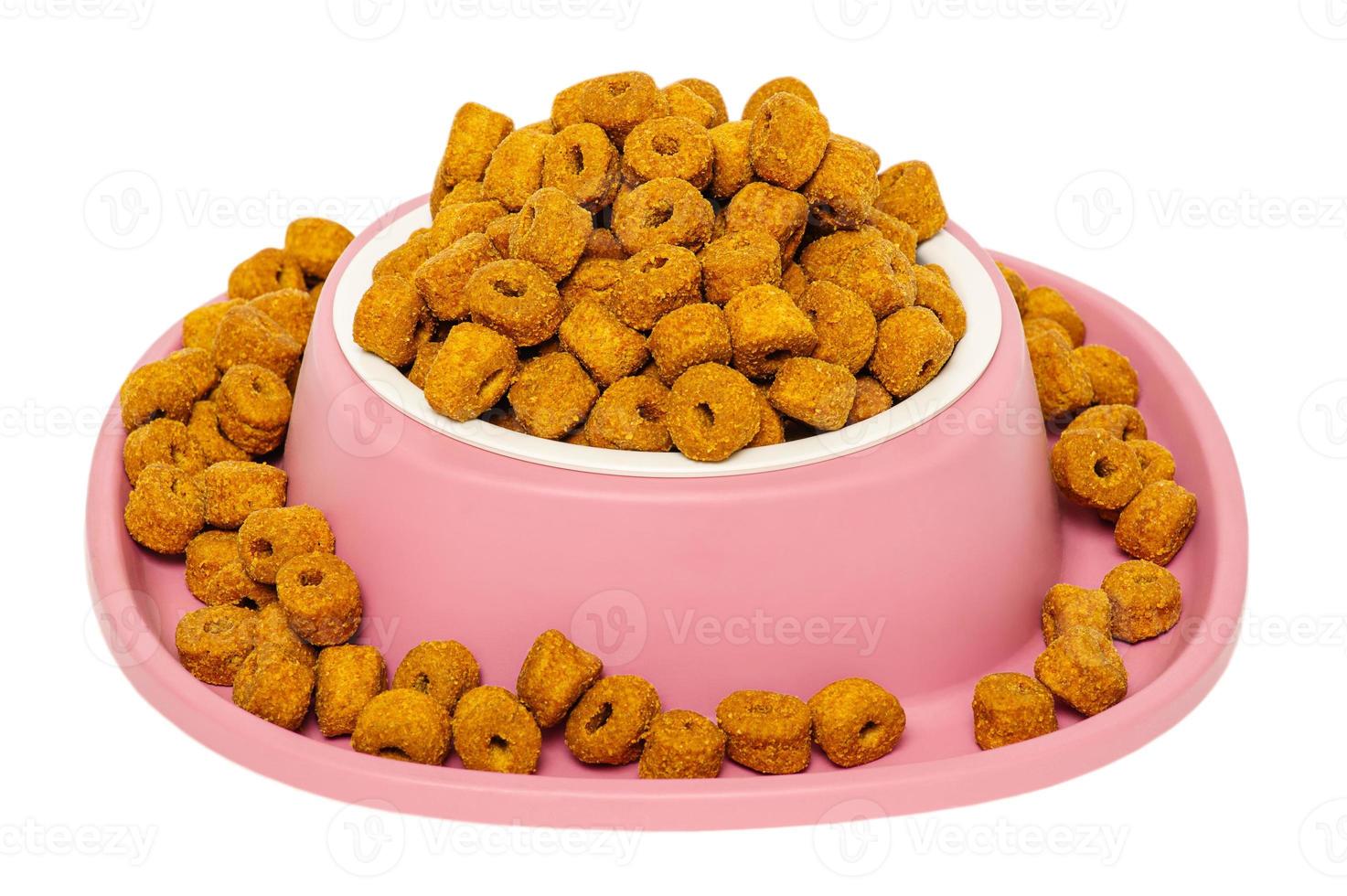 nourriture pour animaux de compagnie, animaux. nourriture sèche dans un bol rose isoler sur blanc. photo