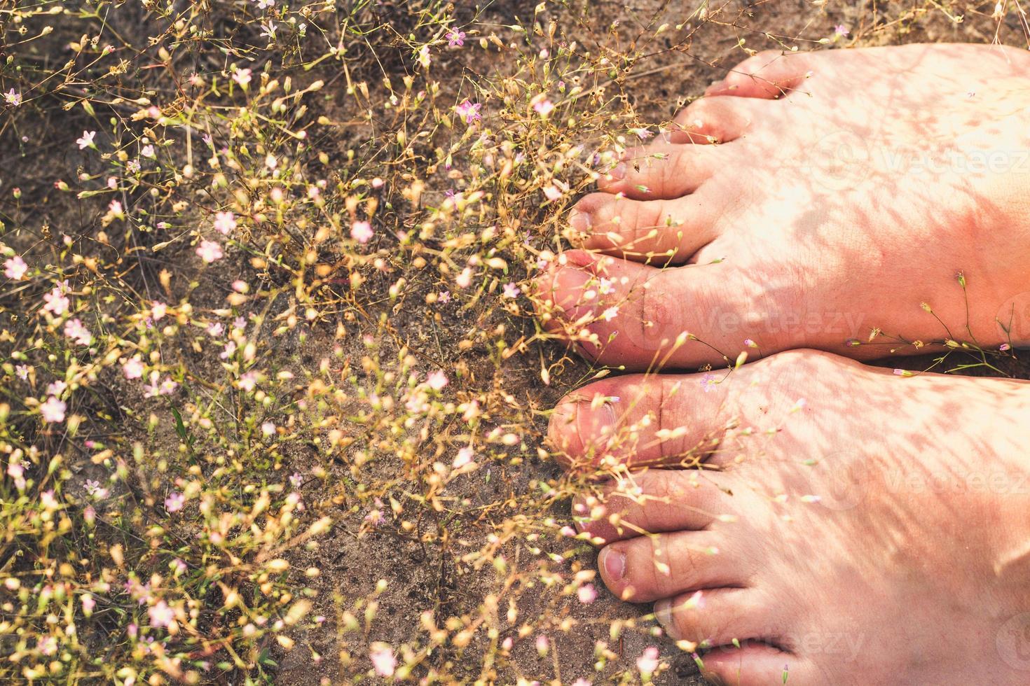 gros plan de minuscules fleurs sauvages tombant sur une femme pieds nus photo concept