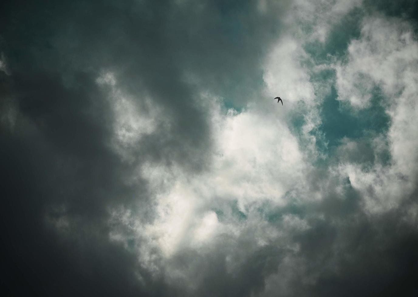 un oiseau volant dans un ciel nuageux photo