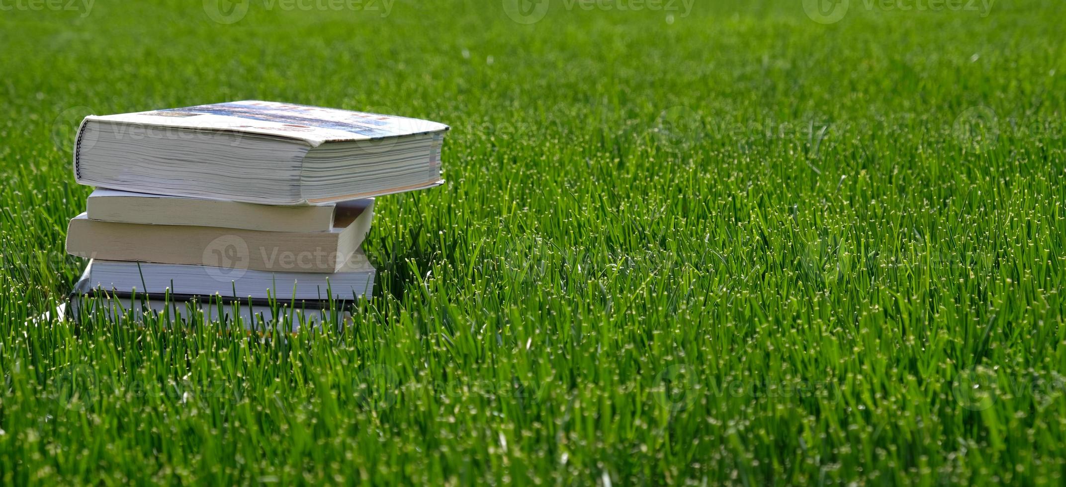 pile de livres dans l'herbe verte sur le terrain par une journée ensoleillée. concept de lecture et de connaissance. bannière avec espace de copie pour le texte. retour à l'école. pile de vieux livres cartonnés vintage. photo