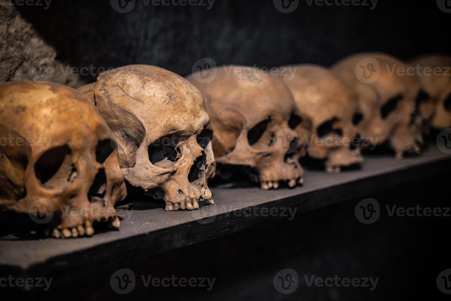de nombreux crânes sont humains disposés en rangées sur l'étagère photo