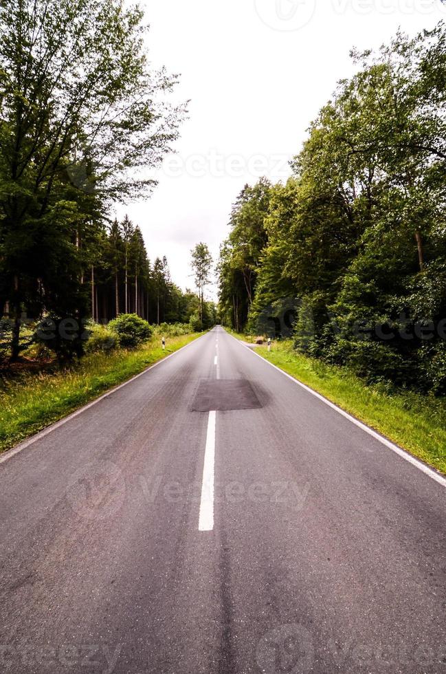 vue panoramique sur la route photo